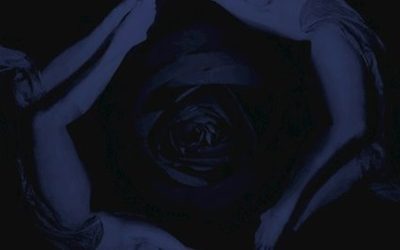 Echoes of the Past: White Willow – Ex Tenebris